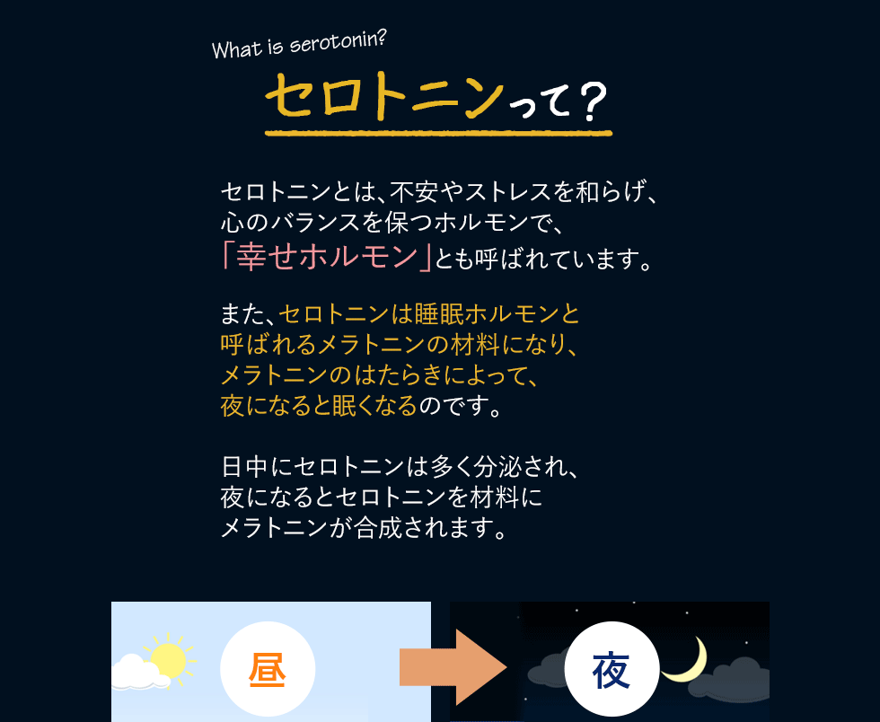 セロトニンって？セロトニンとは、不安やストレスを和らげ、心のバランスを保つホルモンで、「幸せホルモン」とも呼ばれています。また、セロトニンは睡眠ホルモンと呼ばれるメラトニンの材料になり、メラトニンのはたらきによって、夜になると眠くなるのです。日中にセロトニンは多く分泌され、夜になるとセロトニンを材料にメラトニンが合成されます。